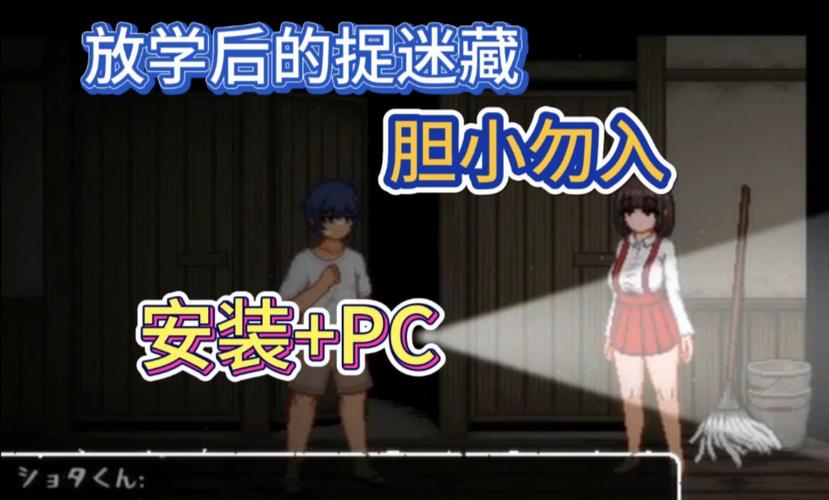 ROOM窥视女孩私生活：绅士游戏中的秘密与冒险