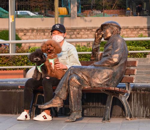 寻找人狗情未了下载地址?这里有你想要的资源