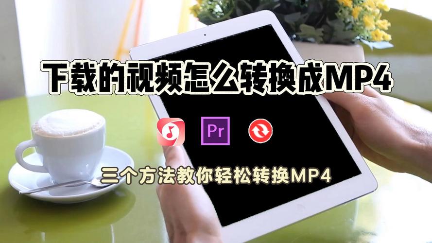 如何下载视频？高清快速下载的正确方法