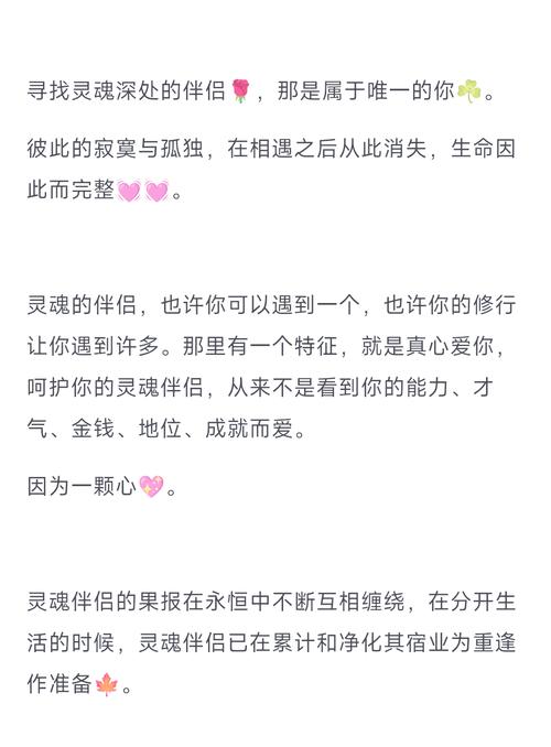 灵魂伴侣官网地址：快速找到你的命中注定，从此不再迷茫