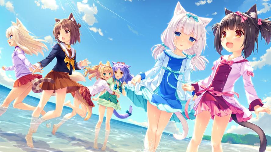 Nekotto岛各版本对比：新手如何选择适合自己的版本？