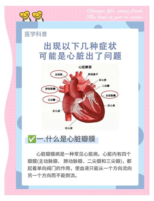 心脏问题大揭秘：从症状到诊断，一次性搞懂