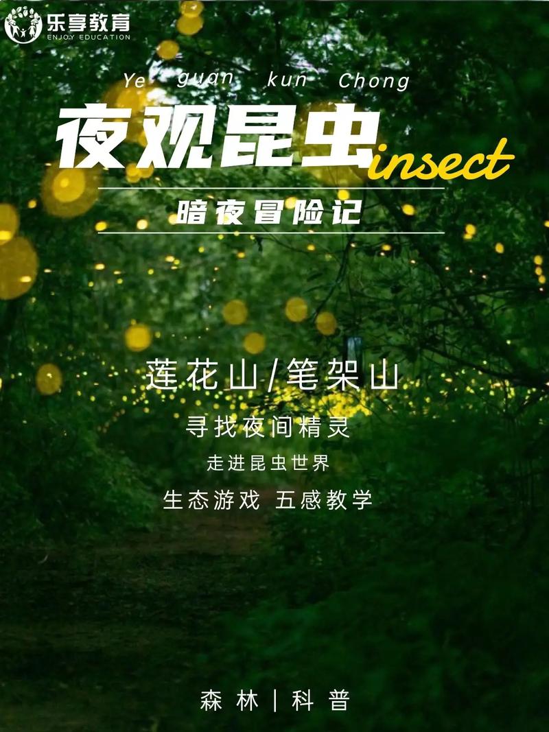 梦魔世界迷惑人版本大全：最新最全资源，带你探索神秘世界