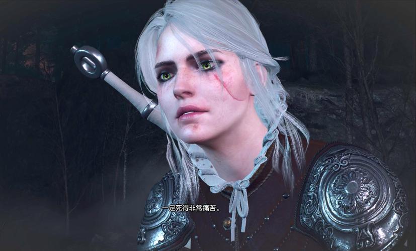 安卓版巫师3狂猎魔改下载:让你欲罢不能的版本