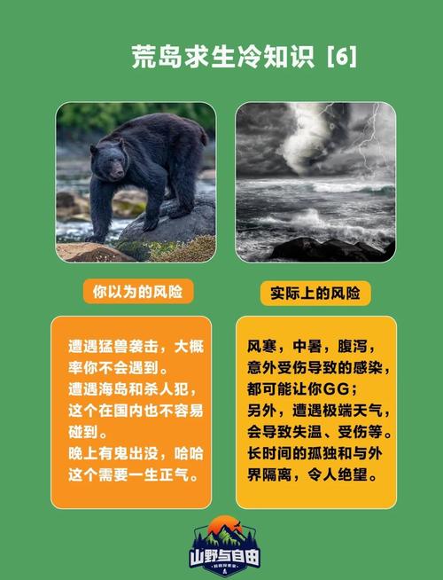 孤岛求生游戏介绍:挑战生存极限,开启荒岛冒险之旅