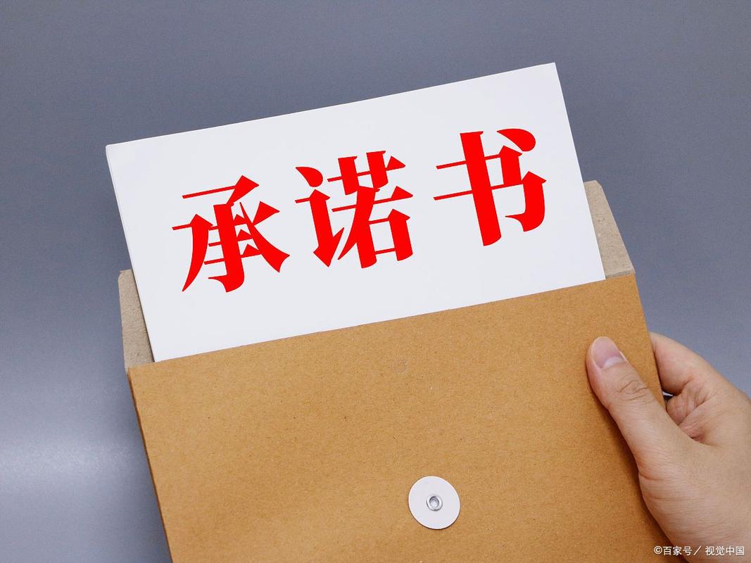 一个最好不要兑现的承诺安卓下载安全吗？