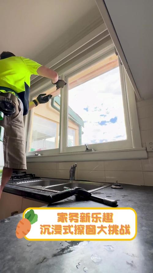 最新家务游戏推荐：沉浸式家务模拟体验