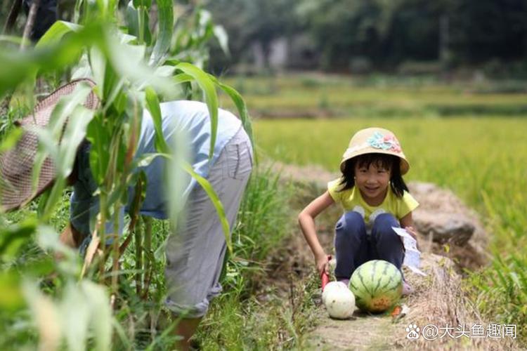 乡村生活的快乐暑假汉化版下载：感受不一样的暑假生活