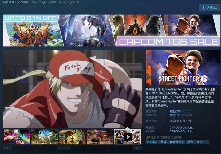 街头霸王6X安卓汉化版下载:玩转街霸6!