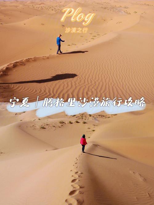 沙漠潜行者最新攻略：快速上手游戏技巧教学