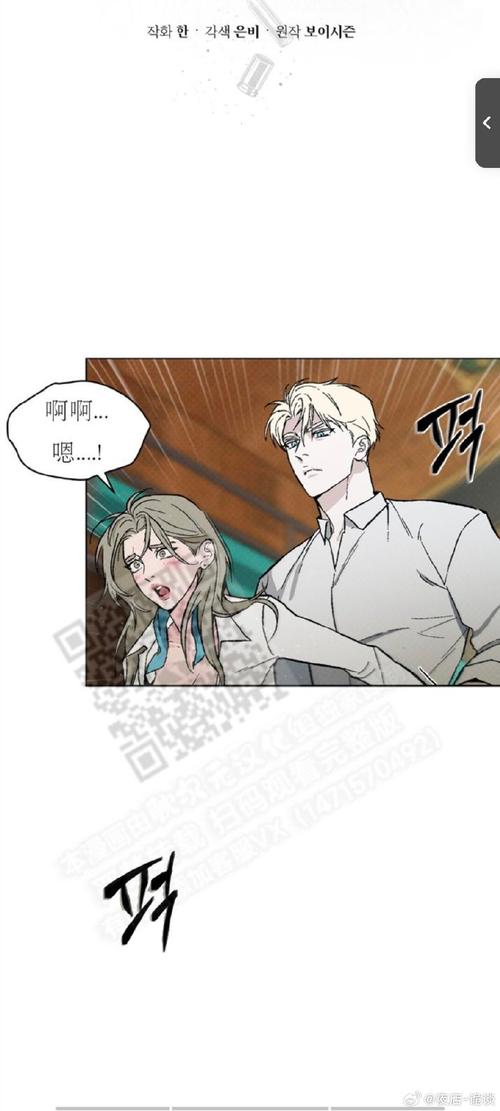 摄影师的谎言汉化版下载：哪里可以找到免费资源？