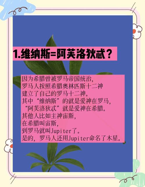 如何下载维纳斯俱乐部V2.5.3官方正式版?这里有最新下载链接