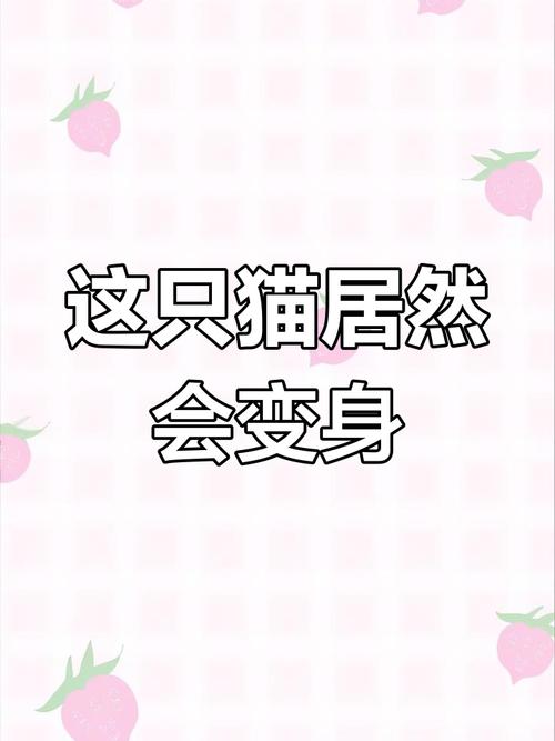 捡到千年猫官方网站在哪？快速进入游戏官网！