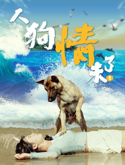 人狗情未了游戏攻略详解：轻松掌握游戏玩法