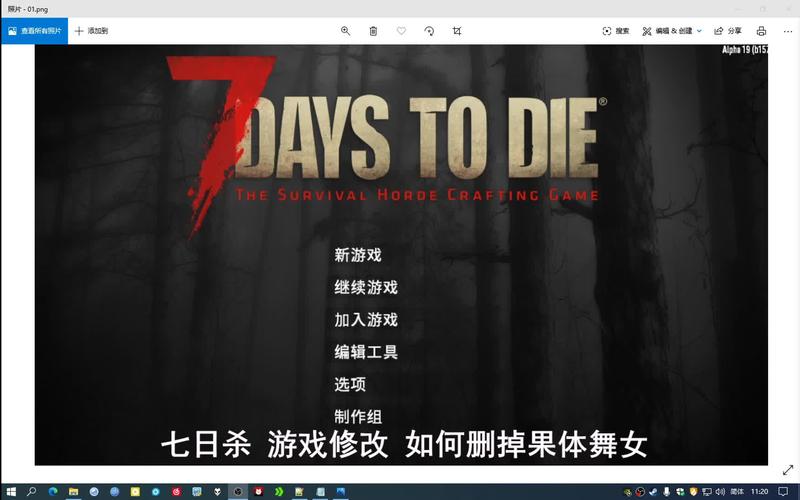 志愿少女游戏攻略:新手必看技巧与心得分享