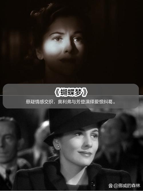 寡妇的偏远客栈最新剧情:惊悚悬疑,引人入胜