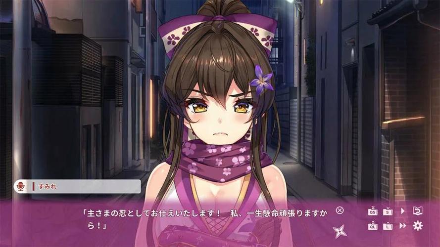 ROOM窥视女孩私生活：绅士游戏中的秘密与冒险