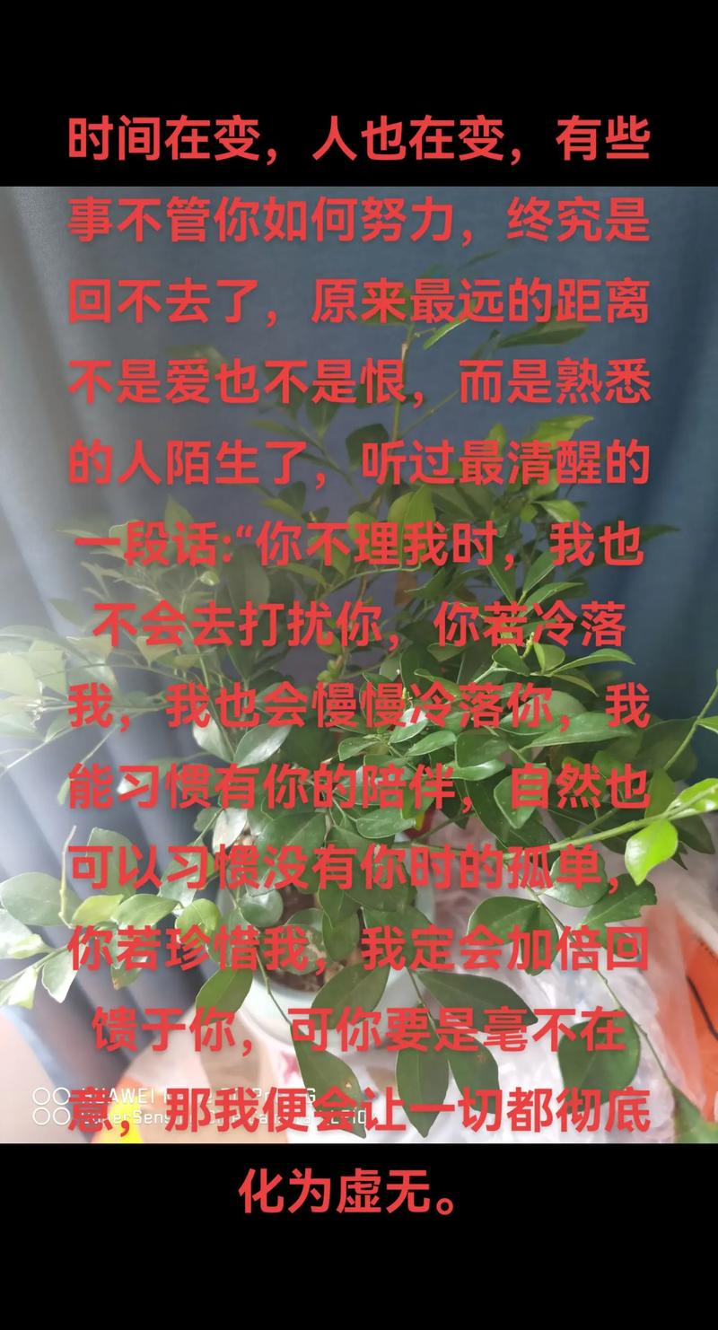 找不到朋友?孤独的陌生人下载神器推荐