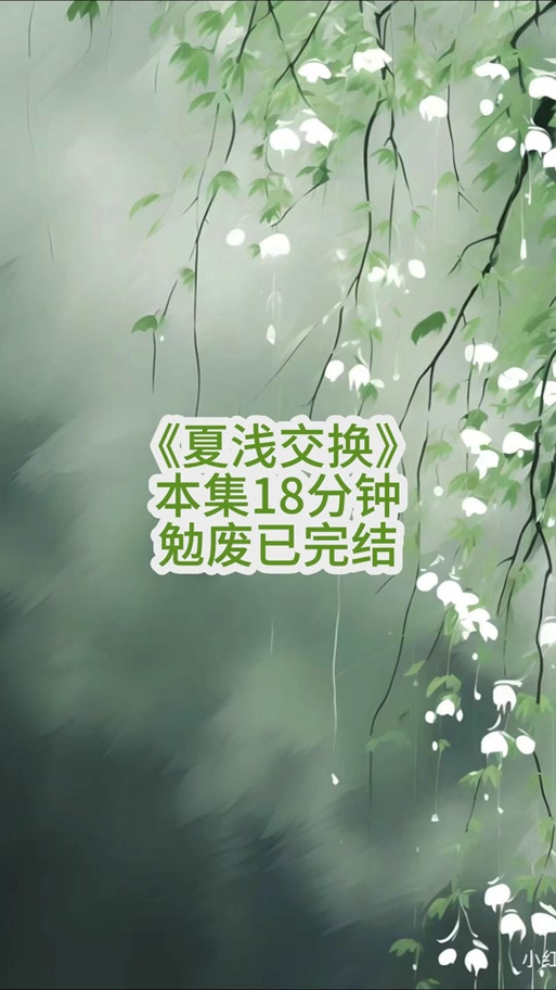 夏色四叶草最新版本号是多少？安卓/PC版下载安装教程