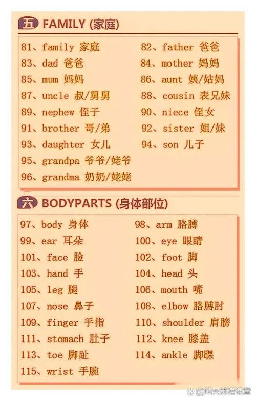 Socrates更新地址及下载方法详解，小白也能轻松上手！