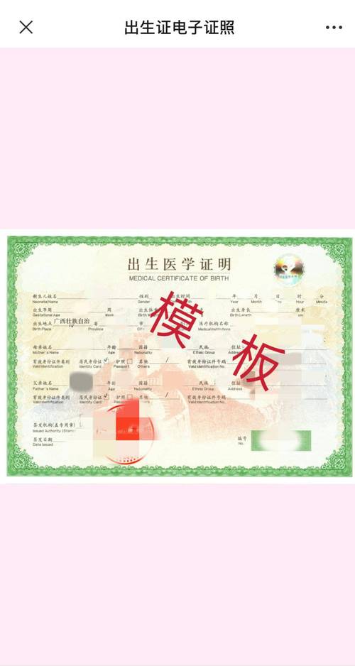 出生证明游戏下载:PC+安卓版,汉化版资源,轻松畅玩!