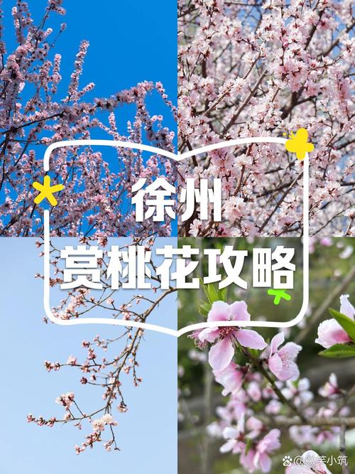 桃花境游戏攻略:隐藏任务及桃花仙露位置大公开