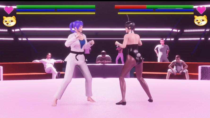 全女格斗同人安卓游戏：超燃格斗盛宴等你来战