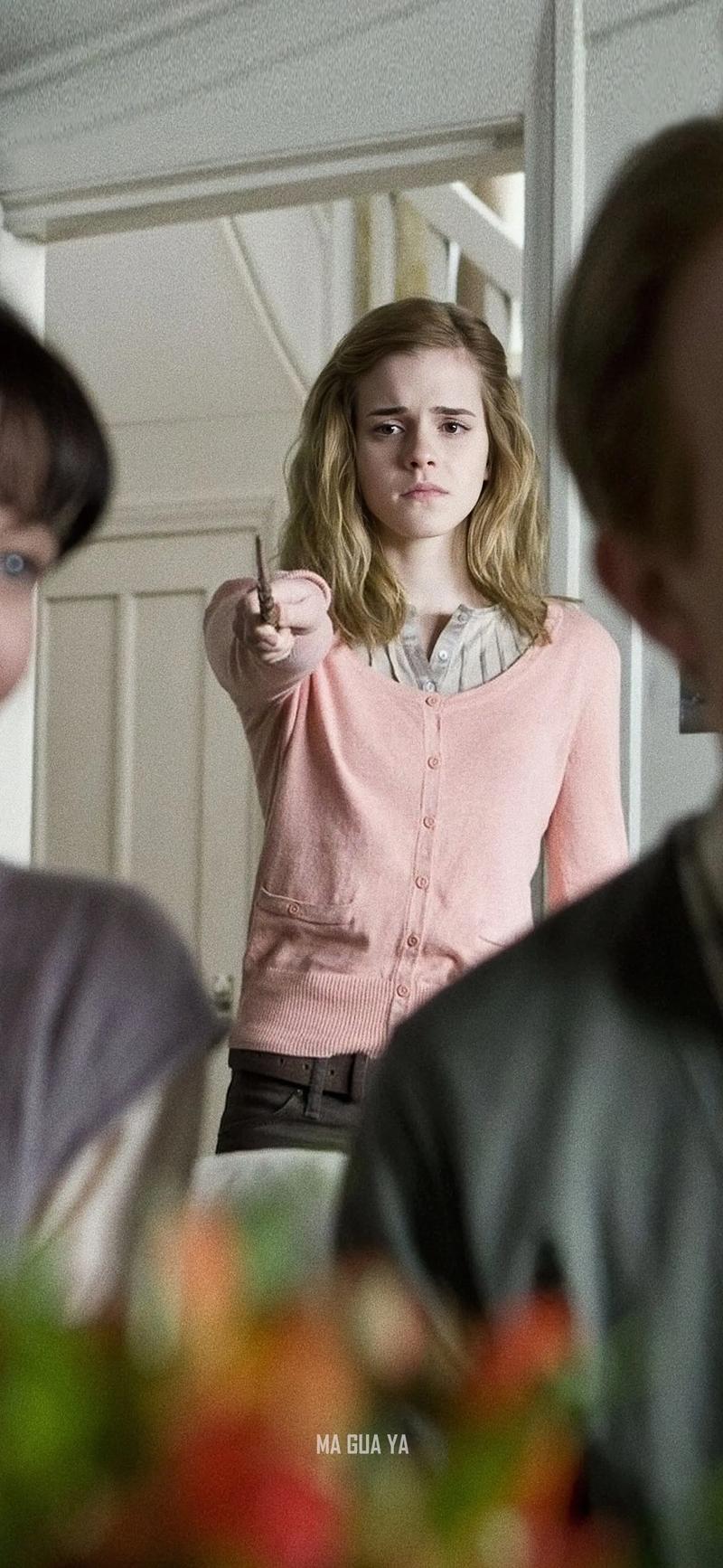 想玩懂教育赫敏V1.46魔改游戏?这份攻略送给你!