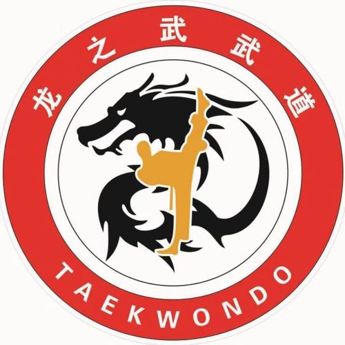 龙的征服最新版本下载地址分享,不容错过!