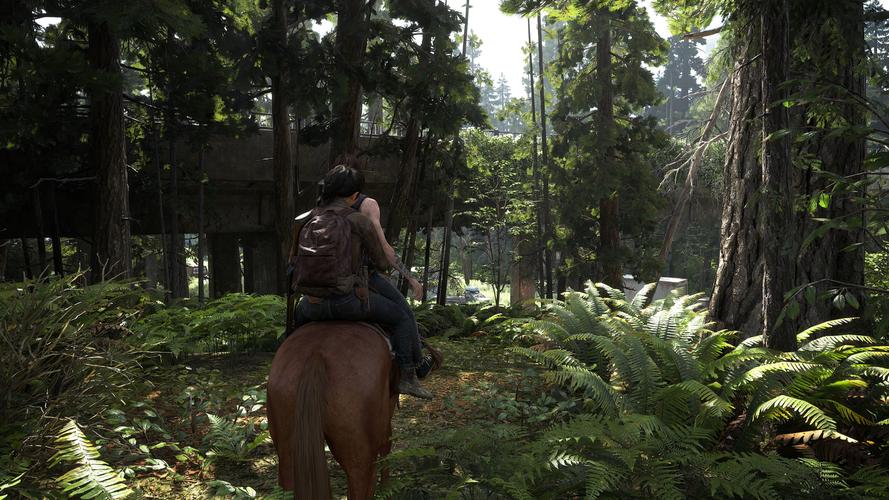 最后的生还者2在哪下载？Steam平台下载指南