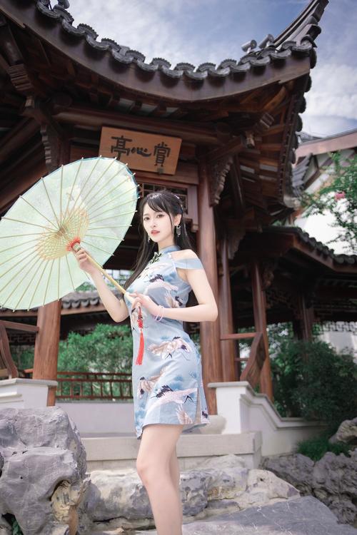 庭树沐年汉化版下载：583MB完整版资源合集