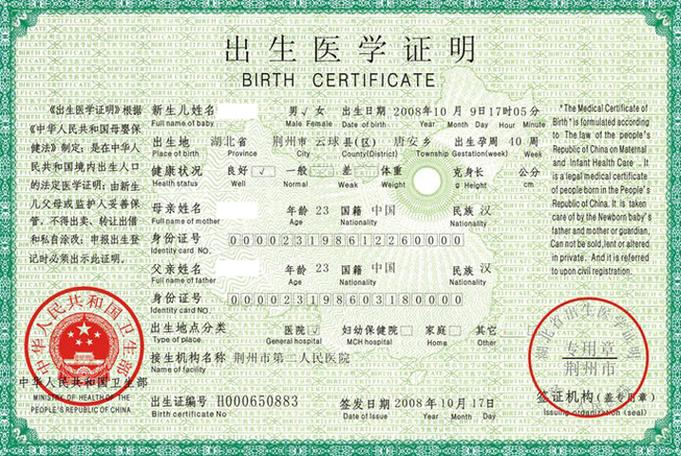 出生证明游戏下载:PC+安卓版,汉化版资源,轻松畅玩!