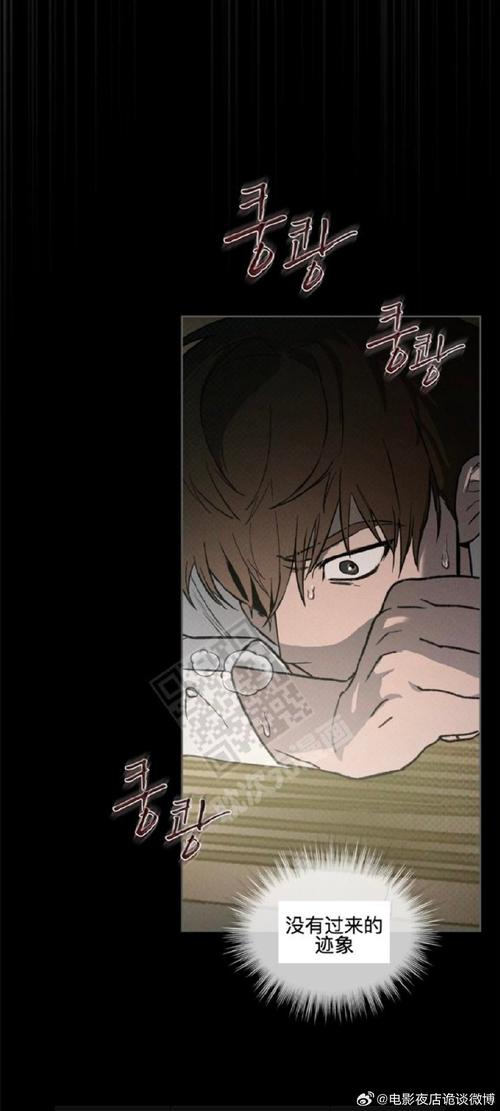 摄影师的谎言汉化版下载：哪里可以找到免费资源？