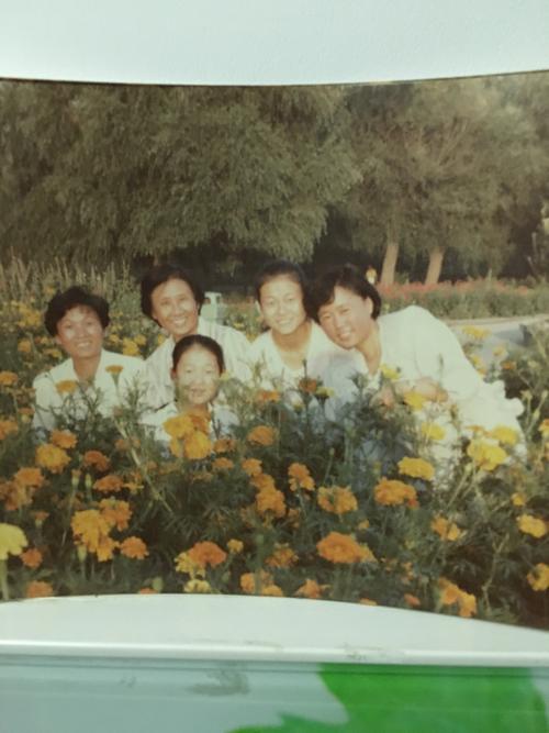 安卓夏日甜蜜回忆：找回属于你的夏日清凉