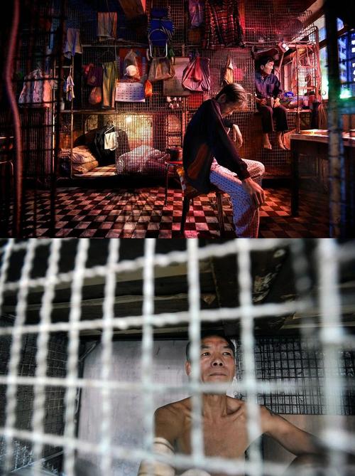 虫之监狱最新版本下载：PC+安卓都能玩！