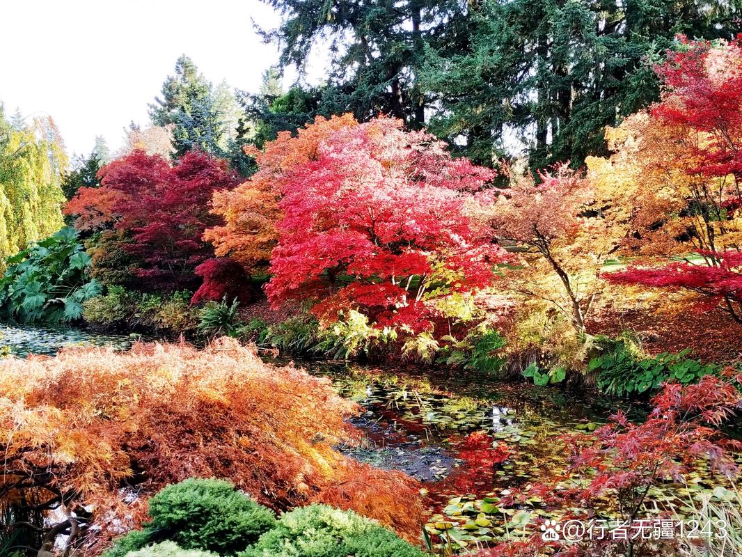 寻找枫之恋下载地址?这里有你想要的靠谱资源