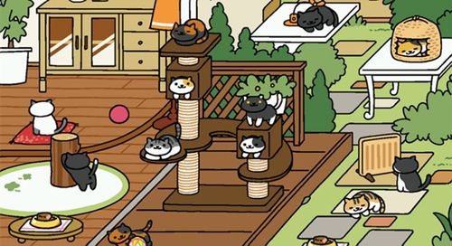 捡到千年猫官方网站在哪？快速进入游戏官网！