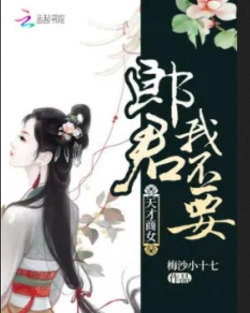 寻找不是小十七最新版本？这里有你想要的！