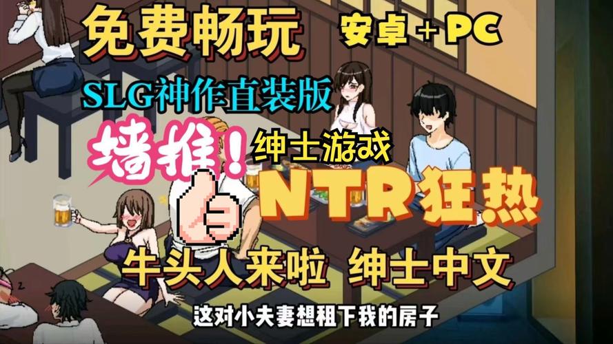 NTR狂热游戏官网：超详细游戏流程及MOD使用教程
