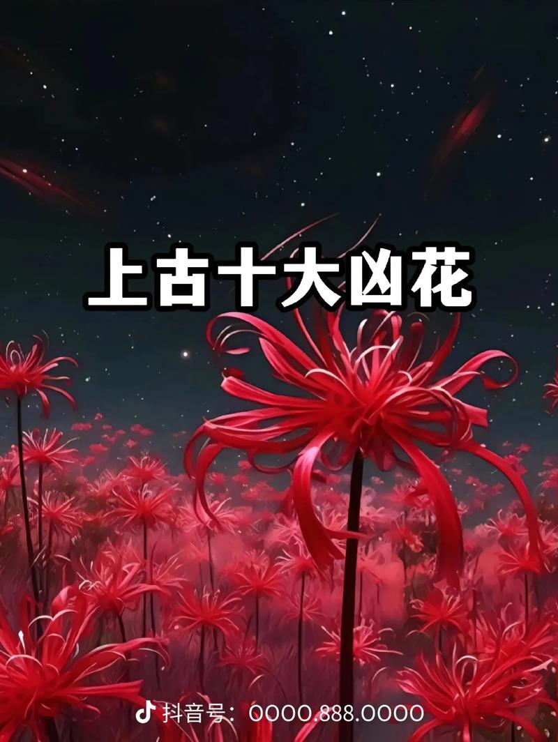 彼岸花安卓版下载：寻找失散亲人的冒险之旅