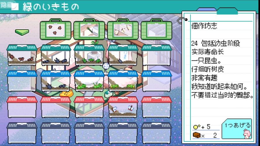 寻找夏日的宝物最新版在哪下载?附详细下载教程