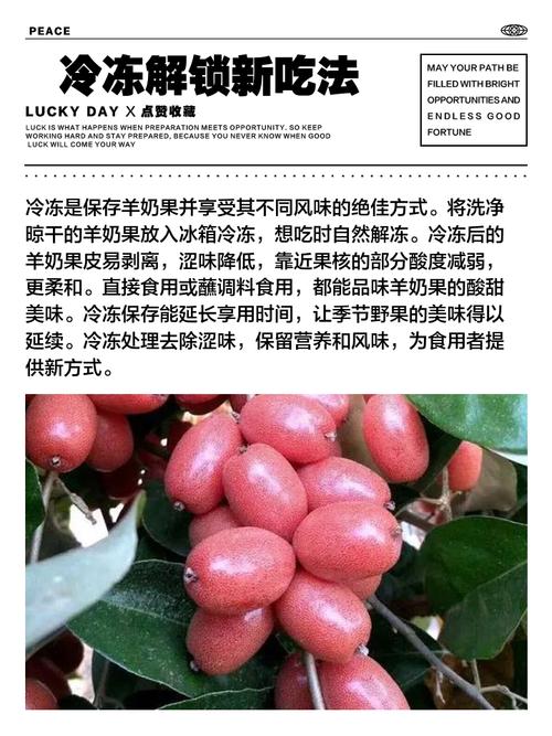 涩点点官网更新地址：永久有效入口，别错过！