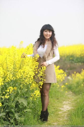 想玩半老徐娘？安卓汉化版下载地址在此