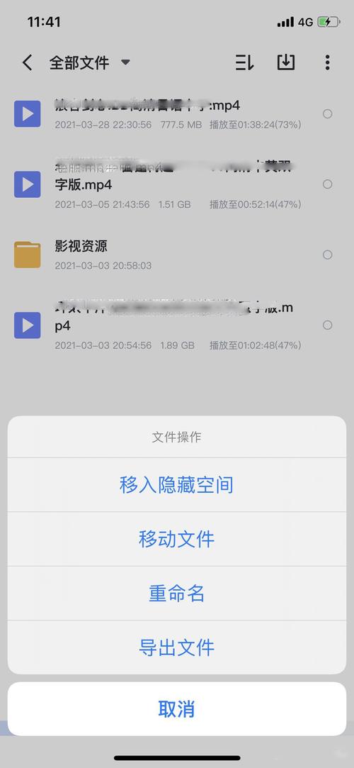 大小姐琉璃子的暑假狂欢精翻版怎么下载?快速下载教程来了!