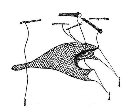 轻松玩转渔网亡灵：简单易懂的游戏攻略指南