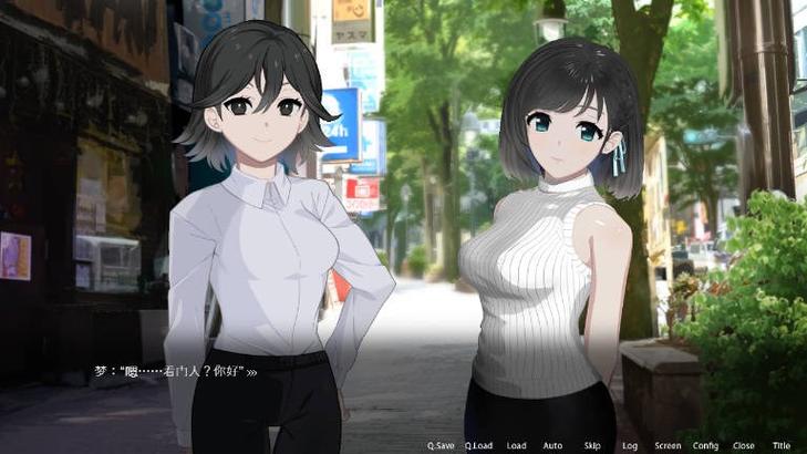 ROOM窥视女孩私生活：绅士游戏中的秘密与冒险