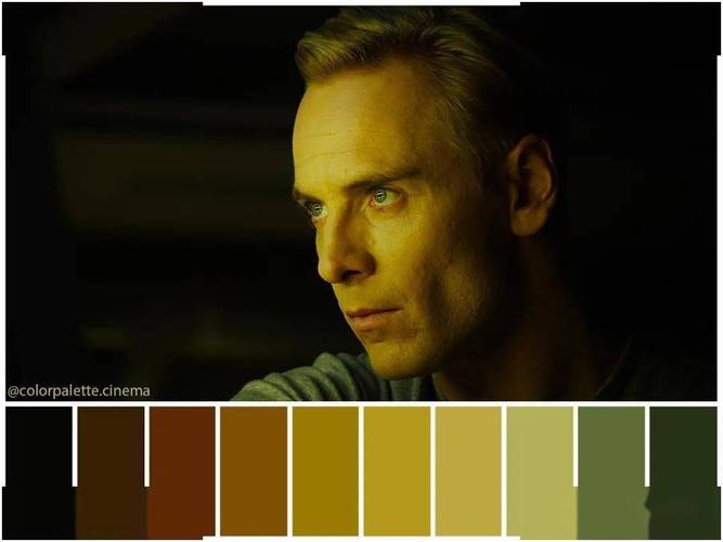 解密边境猎人绅士游戏:隐藏彩蛋及攻略