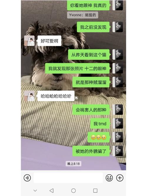 混球在哪下载?安卓手机用户下载安装教程