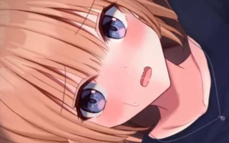 新婚妻子梅古绅士游戏玩法详解：剧情与角色深度解读