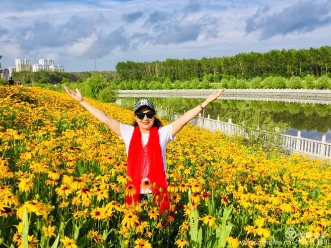 烂漫官网：日本晨间剧，植物学家的浪漫人生！